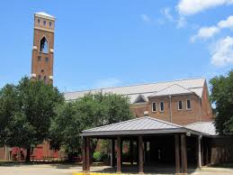 Turf services in Bedford, TX