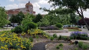 Turf services in Lewisville, TX
