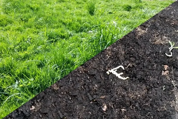 Artificial Turf Removal and Disposal